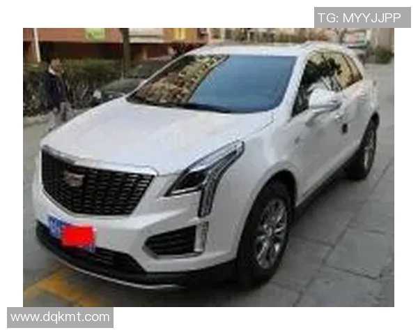 广州网球队在洲际杯积分榜上以96分稳居第一名展现强劲实力